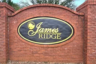 610 James Ridge Dr, Lawrenceville, GA 30045 - Photo 57