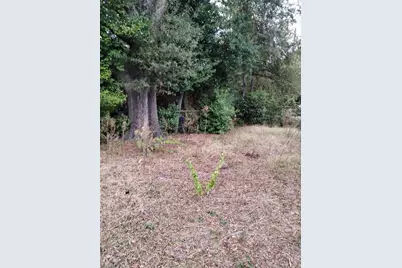 815 Edwards Ave, Macon, GA 31204 - Photo 7