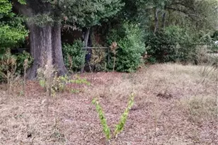 815 Edwards Ave, Macon, GA 31204 - Photo 7