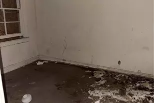 38 Douglas St, Columbus, GA 31903 - Photo 9