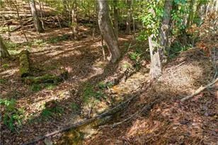 8870 Glen Ferry Dr, Johns Creek, GA 30022 - Photo 65