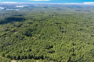 315 Rhine Rd SE, White, GA 30184 - Photo 53