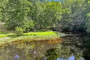 315 Rhine Rd SE, White, GA 30184 - Photo 27