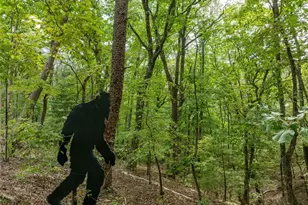 297 Greystone Rd, Talking Rock, GA 30175 - Photo 17