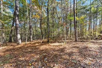 7269 Sloan Stephens Road, Alto, GA 30510 - Photo 53