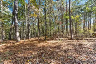 7269 Sloan Stephens Rd, Alto, GA 30510 - Photo 53