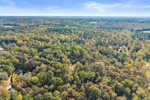 7269 Sloan Stephens Rd, Alto, GA 30510 - Photo 63