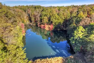 382 Pocaset Dr, Ellijay, GA 30540 - Photo 71