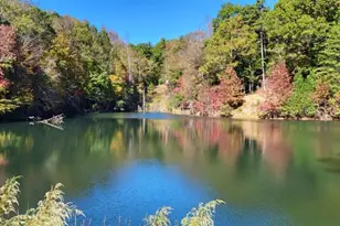 382 Pocaset Dr, Ellijay, GA 30540 - Photo 65