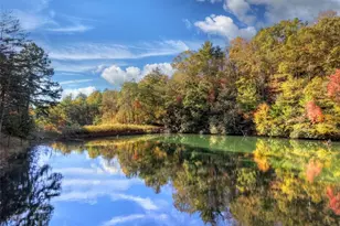 382 Pocaset Dr, Ellijay, GA 30540 - Photo 51