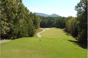 382 Pocaset Dr, Ellijay, GA 30540 - Photo 75