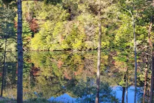 382 Pocaset Dr, Ellijay, GA 30540 - Photo 67