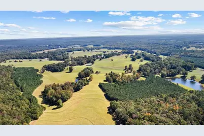 5225 Chalybeate Springs Road, Woodland, GA 31836 - Photo 29