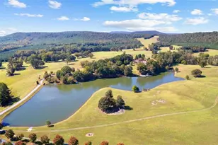 5225 Chalybeate Springs Rd, Woodland, GA 31836 - Photo 43