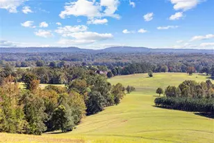 5225 Chalybeate Springs Rd, Woodland, GA 31836 - Photo 35