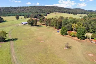 5225 Chalybeate Springs Rd, Woodland, GA 31836 - Photo 51