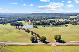 5225 Chalybeate Springs Rd, Woodland, GA 31836 - Photo 39