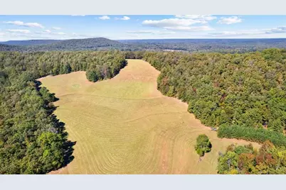 5225 Chalybeate Springs Road, Woodland, GA 31836 - Photo 33