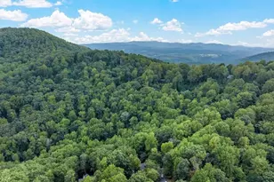 1083 Mountain Oak Rd, Ellijay, GA 30536 - Photo 37