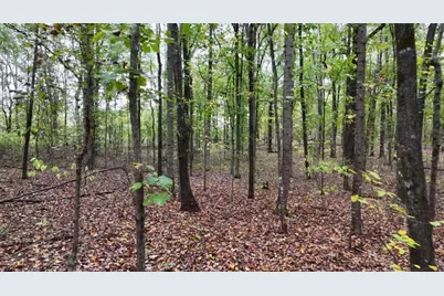 12895 Highway 36, Covington, GA 30014 - Photo 9