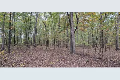 12895 Highway 36, Covington, GA 30014 - Photo 11