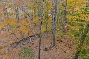 617 Crippled Oak Trail, Jasper, GA 30143 - Photo 5