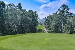 617 Crippled Oak Trail, Jasper, GA 30143 - Photo 49