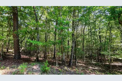 925 Arrow Trail, Waleska, GA 30183 - Photo 7