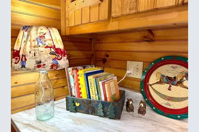 469 Mull Drive, Blue Ridge, GA 30559 - Photo 9