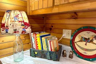 469 Mull Dr, Blue Ridge, GA 30559 - Photo 9