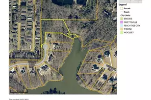 125 Silver Lake Way, Fayetteville, GA 30215 - Photo 71