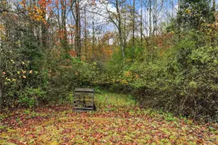 849 Blacksnake Rd, Mount Airy, GA 30563 - Photo 57