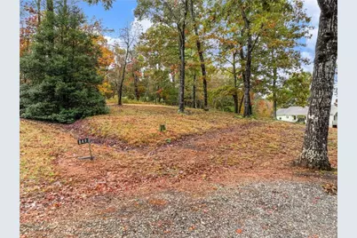 849 Blacksnake Road, Mount Airy, GA 30563 - Photo 53