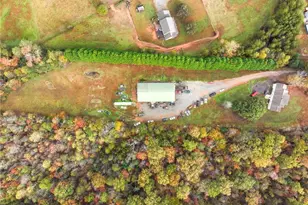 849 Blacksnake Rd, Mount Airy, GA 30563 - Photo 45