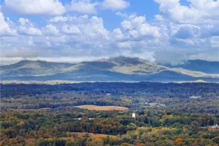 849 Blacksnake Rd, Mount Airy, GA 30563 - Photo 47