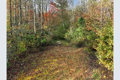 849 Blacksnake Road, Mount Airy, GA 30563 - Photo 39