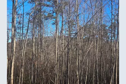 264 Canyon Point Drive, Demorest, GA 30535 - Photo 35