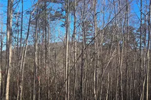 264 Canyon Point Dr, Demorest, GA 30535 - Photo 35