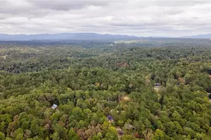 193 Haven Ct, Ellijay, GA 30540 - Photo 61