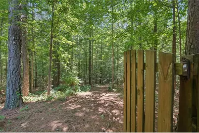 202 Saddlehorn Trail, Ball Ground, GA 30107 - Photo 65