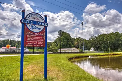 205 Crimson Feather Drive, Jefferson, GA 30549 - Photo 49