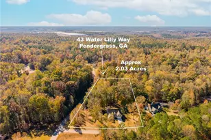 43 Water Lilly Way, Pendergrass, GA 30567 - Photo 59