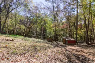 114 Funaro Ln, Dahlonega, GA 30533 - Photo 27