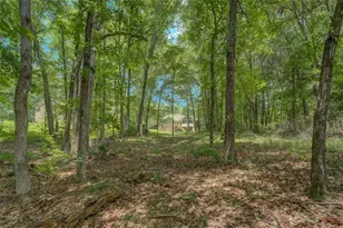 1041 Flat Rock, Covington, GA 30014 - Photo 59