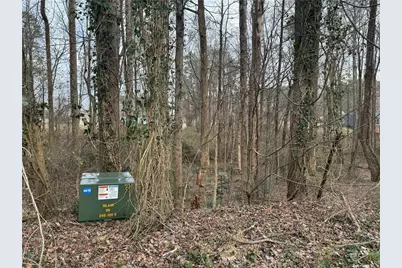 1680 Greystone Road, Cumming, GA 30040 - Photo 3