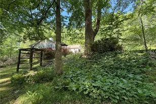 3740 Woodlane Rd, Gainesville, GA 30506 - Photo 47