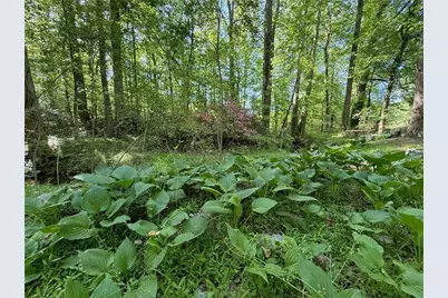 3740 Woodlane Road, Gainesville, GA 30506 - Photo 45