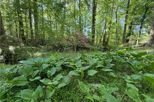 3740 Woodlane Rd, Gainesville, GA 30506 - Photo 45