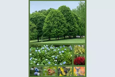 3740 Woodlane Road, Gainesville, GA 30506 - Photo 69