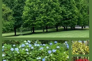 3740 Woodlane Rd, Gainesville, GA 30506 - Photo 73